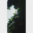 Mercado Woven in Blush